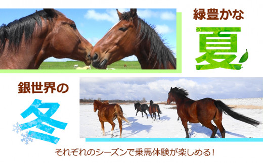 [4.45-177]　石狩ホーストレック　体験乗馬 st-p