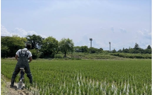 令和6年産 新之助・コシヒカリ詰合せセット（2合パック×10袋） 新潟県 五泉市 （農）久保農業生産組合