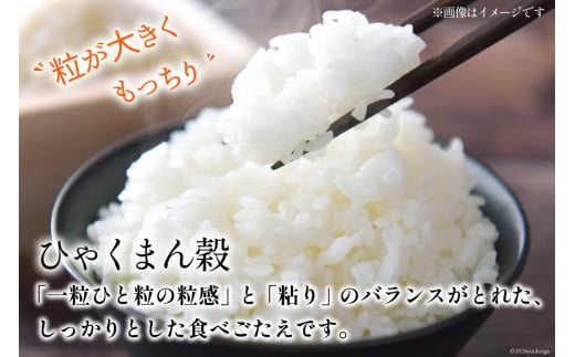 【期間限定発送】 米 令和6年 ひゃくまん穀 精米 5kg [みどりの波 石川県 宝達志水町 38601066] お米 こめ コメ 5キロ 白米 ひゃくまんごく 美味しい