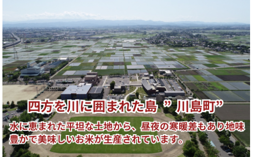 【１２カ月連続お届け】埼玉県川島町産　川越藩のお蔵米(コシヒカリ精米品)１０ｋｇ×１２回