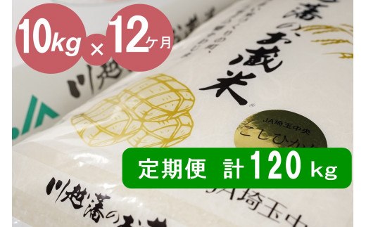 【１２カ月連続お届け】埼玉県川島町産　川越藩のお蔵米(コシヒカリ精米品)１０ｋｇ×１２回