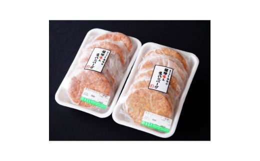 飛騨牛入特製生ハンバーグ　100g×10個【1491576】