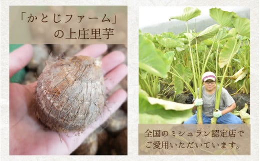 【先行予約】【11月発送】こだわりの特別栽培 上庄里芋 2kg（3S～Sサイズ） きぬかつぎ 化学肥料不使用 農薬50％以上カットの特別栽培里芋