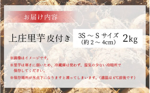 【先行予約】【11月発送】こだわりの特別栽培 上庄里芋 2kg（3S～Sサイズ） きぬかつぎ 化学肥料不使用 農薬50％以上カットの特別栽培里芋