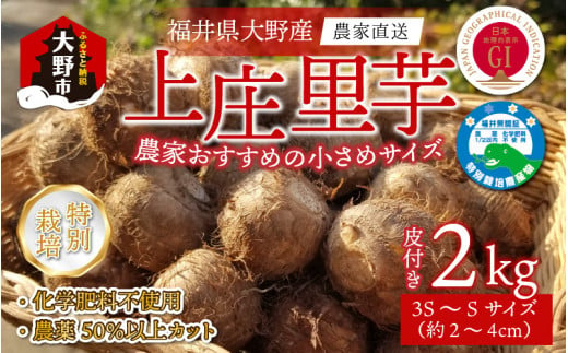 【先行予約】【11月発送】こだわりの特別栽培 上庄里芋 2kg（3S～Sサイズ） きぬかつぎ 化学肥料不使用 農薬50％以上カットの特別栽培里芋