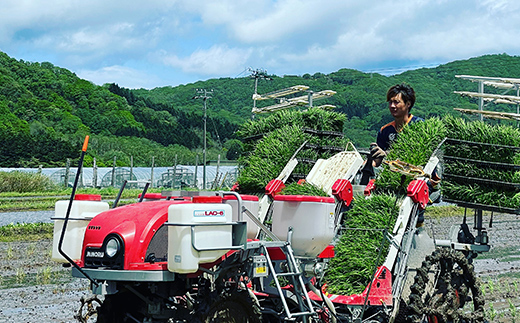 【先行予約】【3月中旬発送】 つむぎ米 5kg【北海道産ゆめぴりか】令和6年産 発送時期が選べる《山本農園》 森町 こめ お米 米 白米 ゆめぴりか 北海道米 北海道産 北海道 mr1-0621-15