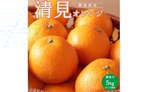 □和歌山産 訳あり 清見オレンジ サイズ混合 箱込み2箱18キロ
