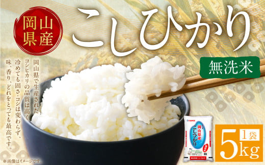 【令和6年産】 無洗米 岡山県産 こしひかり 5kg 【2024年9月下旬～2025年8月下旬発送】