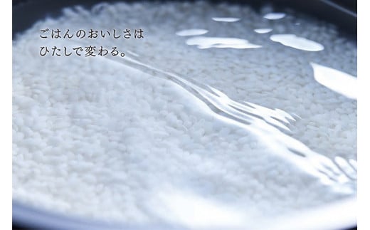 東芝 真空IH 炊飯器 炎匠炊き5.5合 RC-10RWA(W) グランホワイト 《2024年スタンダードモデル 真空IH炊飯ジャー》【東芝 TOSHIBA 炊飯器 炊飯ジャー 大火力 銅かまど丸釜 真空ひたし 真空保温 家電製品 電化製品 IH炊飯器】