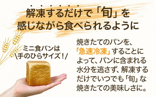 濃厚チーズテリーヌタルト 600g 濃厚チーズ タルト スイーツ デザート 洋菓子 おやつ サワークリーム クリームチーズ マスカルポーネ 冷凍 自然解凍 お取り寄せグルメ お取り寄せ 福岡 九州