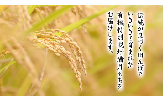 【ふっくら なめらか 良くのびる】＜令和6年産＞ 満月もち精米5kg　三百年続く農家の有機特別栽培 満月もち 農創 国産 茨城県産 おいしい 新生活 新生活応援 必要なもの 便利 おすすめ 消耗品 一人暮らし もち米 少量