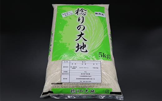 茨城県産ミルキークイーン【無洗米】10kg【3ヶ月連続お届け】（小松崎商事256） 令和6年