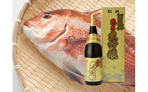 【年4回】鮮魚・日本酒（吟醸酒）定期便