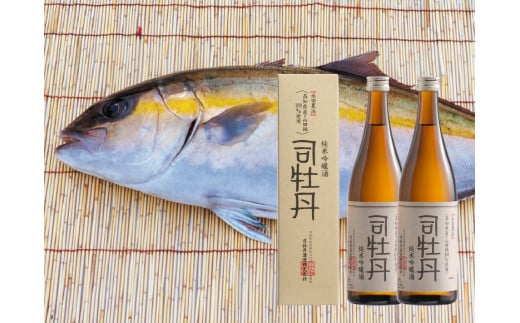 【年4回】鮮魚・日本酒（吟醸酒）定期便