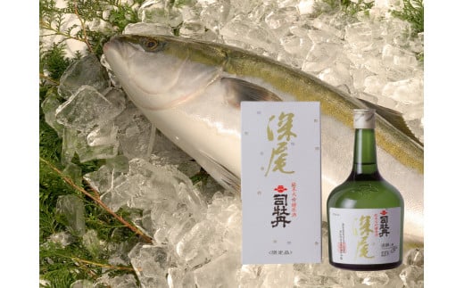 【年4回】鮮魚・日本酒（吟醸酒）定期便