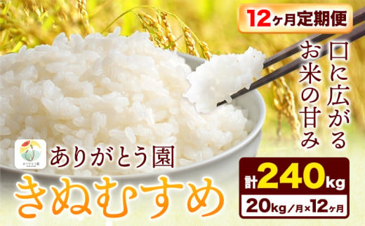 200. 【12ヶ月定期便】令和6年産 米 岡山県産 きぬむすめ 白米 選べる 20kg ありがとう園《お申込み月の翌月から出荷開始》岡山県 矢掛町 米 コメ 一等米 定期便 定期