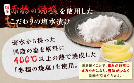 ※12月お届け※大手百貨店も扱う品質 塩数の子 塩水漬け 500g おせち お正月 数の子 かずのこ 塩数の子 塩かずのこ つまみ 北海道 海鮮 人気 グルメ 食べ物 魚卵 魚 魚介 北海道 白糠町