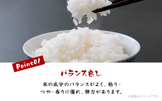 【新米】令和6年産米 千葉県産コシヒカリ「しばはら米」5kg(精米) CNA001