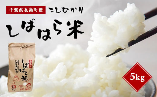 【新米】令和6年産米 千葉県産コシヒカリ「しばはら米」5kg(精米) CNA001