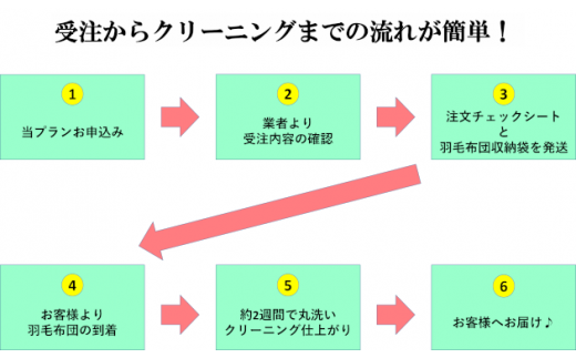 6-U01　羽毛布団丸洗いクリーニング　防ダニ加工付き（シングル1枚）