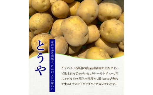 ★先行受付：2024年5月発送開始★大野台地で採れた 令和6年産新じゃがいも『とうや』20kg 訳あり品 20キロ イモ ジャガイモ 芋 いも ポテト 野菜 おいしい なめらか 旬 国産 お取り寄せ 送料無料