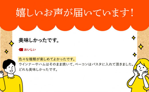 無添加 ベーコン ブロック ソーセージ ウインナー 冷凍 セット 定期便 定期 毎月