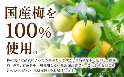 酔わないThe CHOYA 本格梅酒仕込みセット 羽曳野商工振興株式会社《60日以内に出荷予定(土日祝除く)》大阪府 羽曳野市 梅酒 ノンアルコール 梅 酒 CHOYA チョーヤ チョーヤ梅酒 お酒