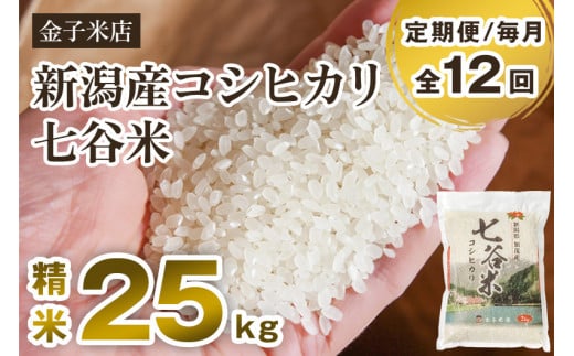 【令和6年産新米】【定期便12ヶ月毎月お届け】老舗米穀店が厳選 新潟産 従来品種コシヒカリ「七谷米」精米25kg（5kg×5）白米 窒素ガス充填パックで鮮度長持ち 金子米店