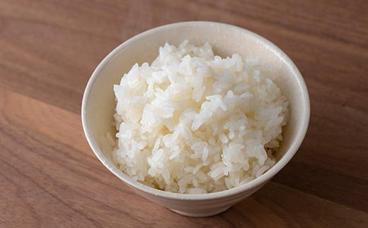 【令和6年産 新米 先行予約】 【金賞受賞農家】 特別栽培米 雪若丸 計4kg (2kg×2袋) 《令和6年10月上旬～発送》 『あおきライスファーム』 山形南陽産 米 白米 精米 ご飯 農家直送 山形県 南陽市 [1583-R6]