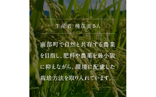 【IT14】＜令和6年産・新米＞鳥取県南部町産「無洗米きぬむすめ」10kg(5kg×2袋) お米 おこめ こめ コメ キヌムスメ 無洗 板谷米穀店