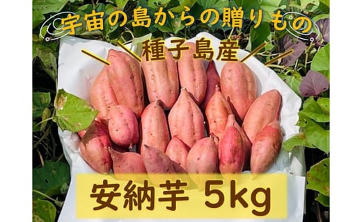 種子島産安納芋のお得セットA（安納芋5kg＋冷凍焼き芋500g×4袋）【安納芋 安納いも 焼き芋 焼芋 やきいも さつまいも さつま芋 冷凍焼き芋 冷凍焼芋 冷凍安納芋 冷凍安納いも スイーツ デザート おやつ 冷凍 熟成 蜜 しっとり 甘い 鹿児島県 種子島 中種子町 種子島安納 N153】