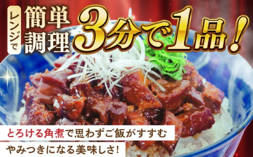 長崎角煮まぶし10袋【株式会社岩崎食品】 [QBR008]