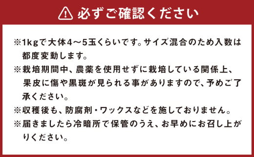 環境マイスターのブラッドオレンジ良品・訳あり混合 3kg