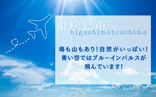 牛タンサガリ角切りステーキ500g （500g × 1パック 3～4人前 ）焼くだけ 簡単 牛タン 塩味 小分け 牛たん サガリ ステーキ 牛肉 焼肉 バーベキュー BBQ おつまみ 冷凍 カット 宮城県 東松島市 オンラインワンストップ 対応 佐利 R