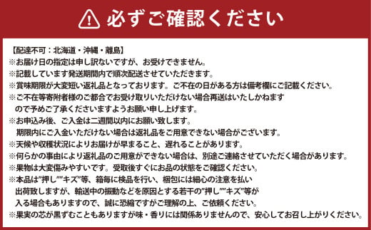 岡山県産 あたご梨 2玉 （約1.7kg） 化粧箱入り 【2024年11月下旬～12月下旬発送予定】