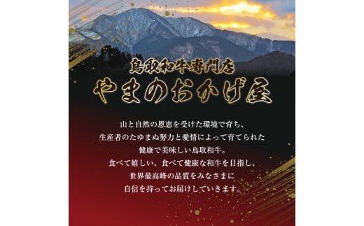 ７２２、鳥取和牛切り落とし 600g ｜ 国産牛 和牛 牛肉 切落し 小分け 国産
※着日指定不可
※離島への配送不可