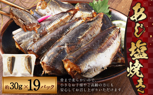 あじ 塩焼き 約30g × 19パック （ 38食 ） 計570g 