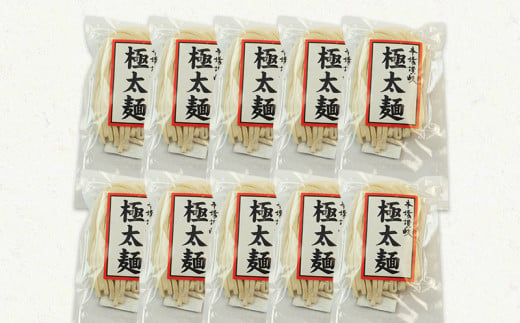 本場さぬきうどん一晩熟成極太生うどん 極太満足セット 極太生うどん300g×10袋、つゆ20ml×8、しょうゆうどんつゆ200ｍl 1本 F5J-160