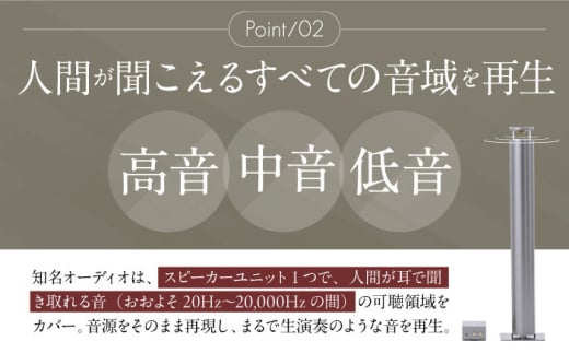 サウンドの極】知名オーディオ TINA AUDIO 1.0 スピーカー＆アンプ