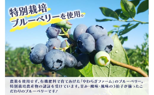 果汁35％ブルーベリー飲料6本セット（180ml×6） 国産 茨城県産 ブルーベリー 特別栽培 無添加 ブルーベリージュース ジュース ギフト 朝どれ 朝採り  フルーツ ドリンク 栄養 健康 美容 贈り物 お見舞い 詰め合わせ 9-N