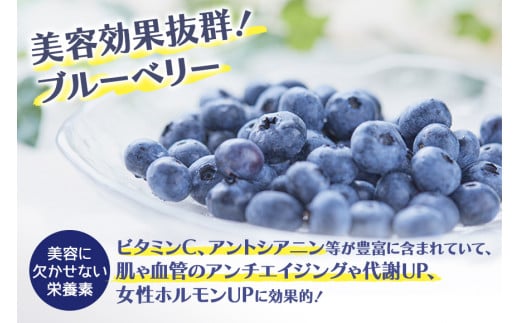 果汁35％ブルーベリー飲料6本セット（180ml×6） 国産 茨城県産 ブルーベリー 特別栽培 無添加 ブルーベリージュース ジュース ギフト 朝どれ 朝採り  フルーツ ドリンク 栄養 健康 美容 贈り物 お見舞い 詰め合わせ 9-N