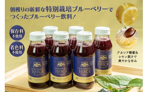 果汁35％ブルーベリー飲料6本セット（180ml×6） 国産 茨城県産 ブルーベリー 特別栽培 無添加 ブルーベリージュース ジュース ギフト 朝どれ 朝採り  フルーツ ドリンク 栄養 健康 美容 贈り物 お見舞い 詰め合わせ 9-N