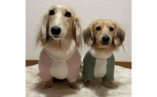 ツートンカラー半袖刺繍ウェア（犬の洋服）