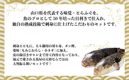 （冷蔵お届け）山口県 魚千代 厳選 堪能 とらふぐ刺身セット  4～5人前 (刺身 200g・ちり用ふぐ 480g・ヒレ 7枚・皮湯引 120g）薬味付き　【山口県 宇部市 極上 厳選 お鍋 雑炊 ヒレ酒  お手軽 魚 ポン酢 ふぐ刺し ふぐ フグ 刺身 】