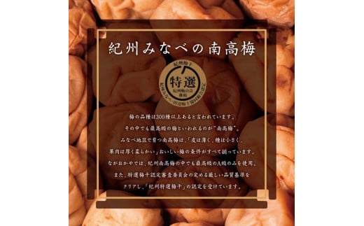 紀州南高梅 無選別 うす塩味（塩分約8％） 1.2kg（400g×3パック)  和歌山県産 塩分8％ つぶれ梅 うめぼし 梅干し 梅 送料無料 ふるさと納税 はちみつ ハチミツ 減塩  梅干 訳アリ 1.2キロ わけあり セット お取り寄せ ご当地グルメ 和歌山県 みなべ町 非常食 保存食 小分け A-402