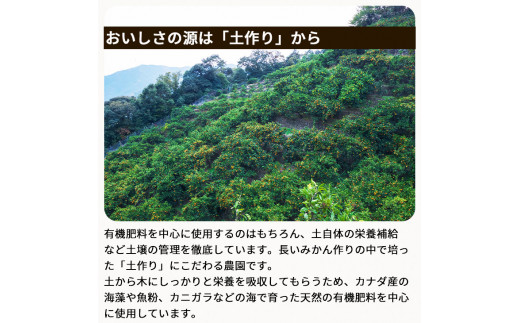 ▼有田みかん 10kg 家庭用 頑固オヤジのこだわりみかん ※11月中旬～翌年1月上旬頃より順次発送予定 【krf004-c-10】