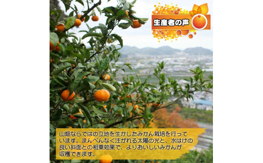 ▼有田みかん 10kg 家庭用 頑固オヤジのこだわりみかん ※11月中旬～翌年1月上旬頃より順次発送予定 【krf004-c-10】