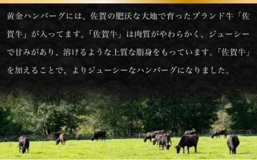 【2025年2月配送】老舗55年佐賀牛入黄金ハンバーグ6個（150g×6個）【焼くだけ】