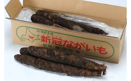 新冠 町 産 野菜 土 付き 長 いも ( 約 6 kg )