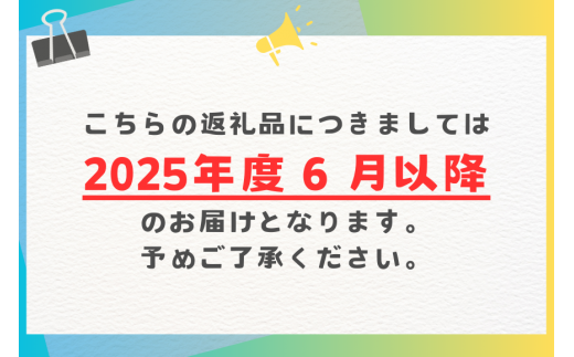 【 先行予約 2025年 発送 】 沖縄県知事賞4度受賞 サンフルーツ糸満 マンゴー 1kg アップルマンゴー アーウィンマンゴー 国産 完熟マンゴー 果物 南国 くだもの フルーツ 完熟 夏 旬 特産品 沖縄 お取り寄せ お土産 甘い 濃厚 沖縄県 糸満市 